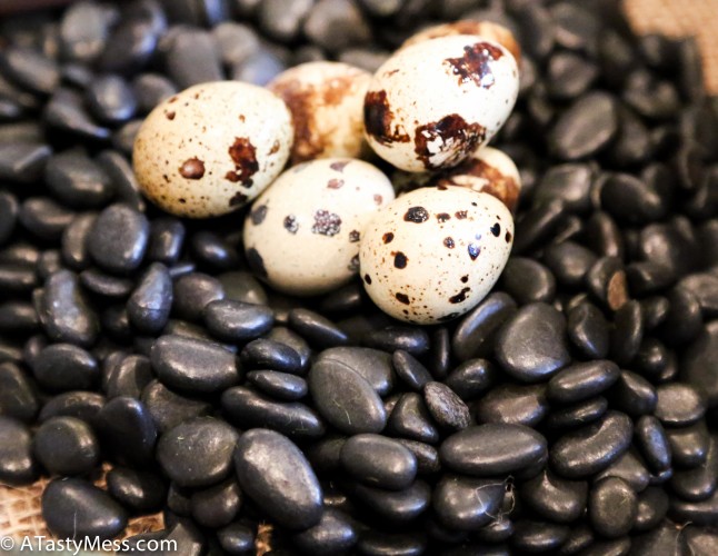 Sous Vide Quail Eggs