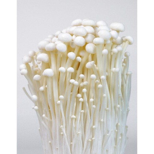 enoki mushrooms