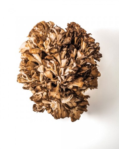 Maitake mushrooms